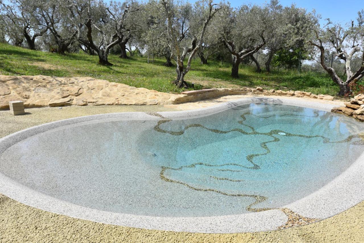 Case&Colline Villa Laura Montescudaio Exteriér fotografie