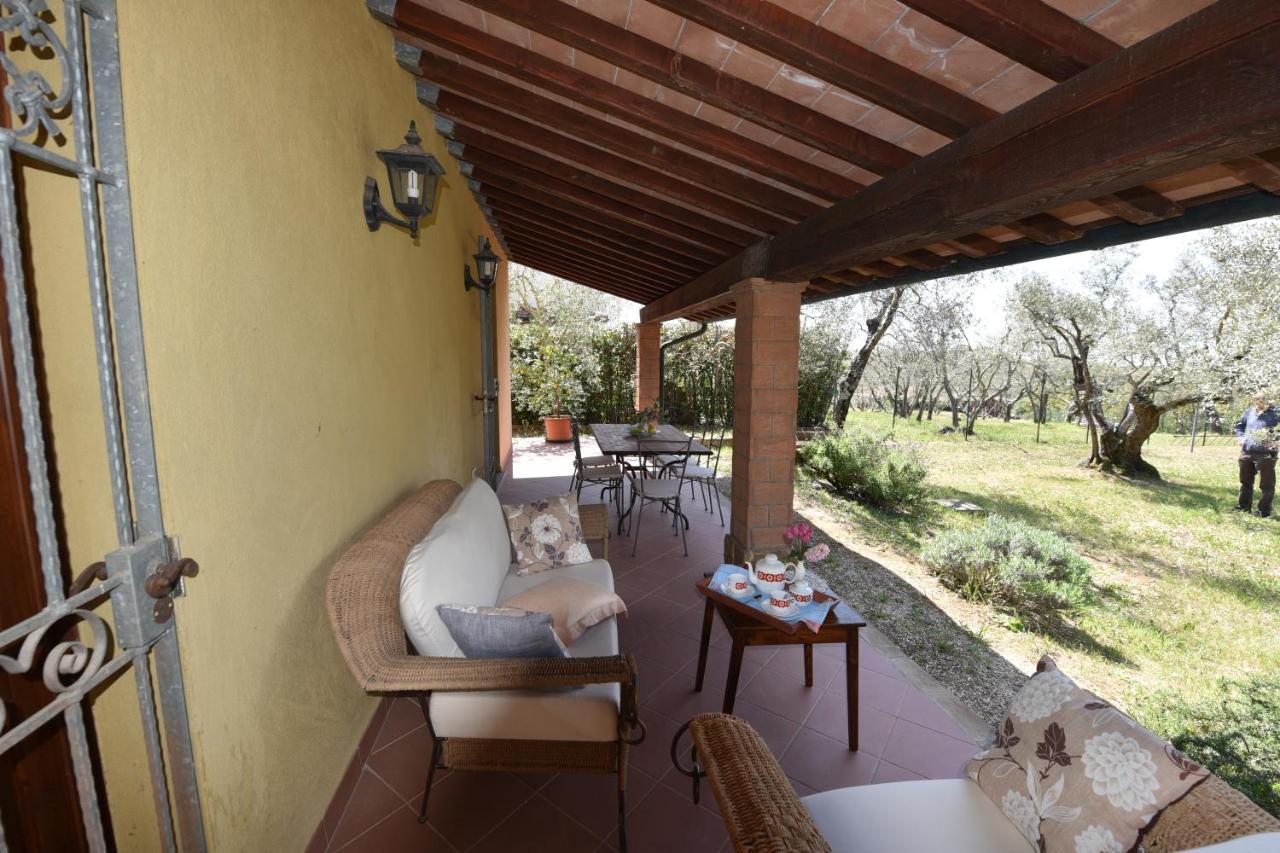 Case&Colline Villa Laura Montescudaio Exteriér fotografie